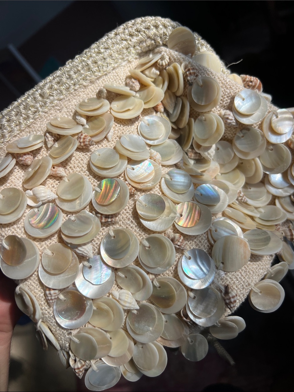 Mother of Pearl & shell MERMAIDCORE Stunning purse